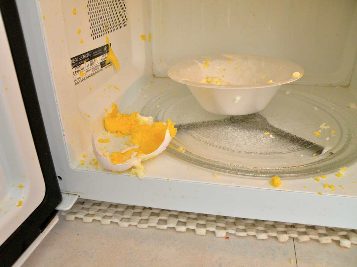 Microwave Mishaps, Dangers, and Uses Delishably