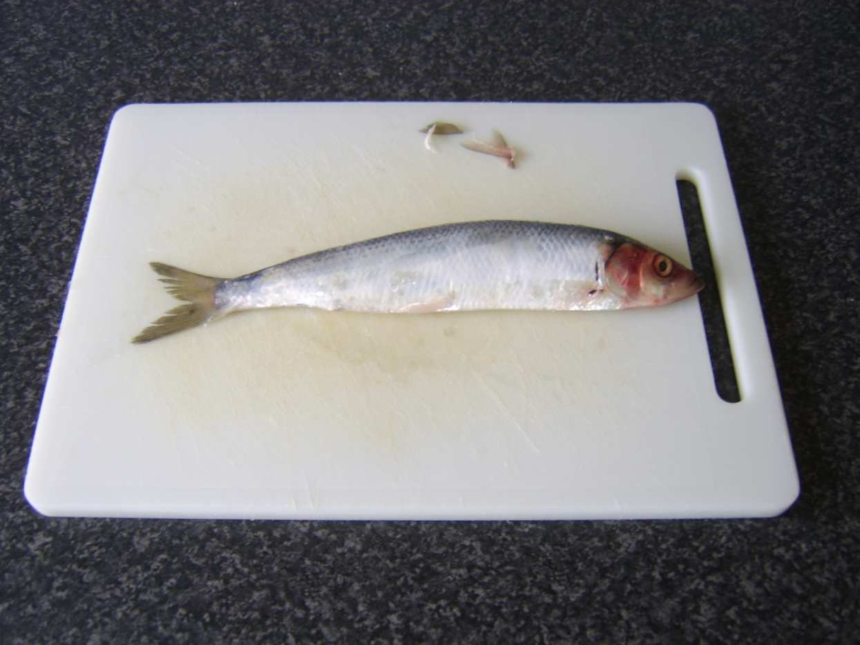 Herring Recipes How to Cook Herring Delishably