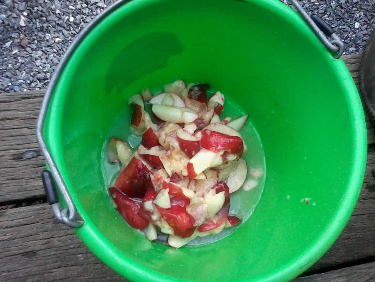 How to Make Simple, Homemade Peach Wine Delishably