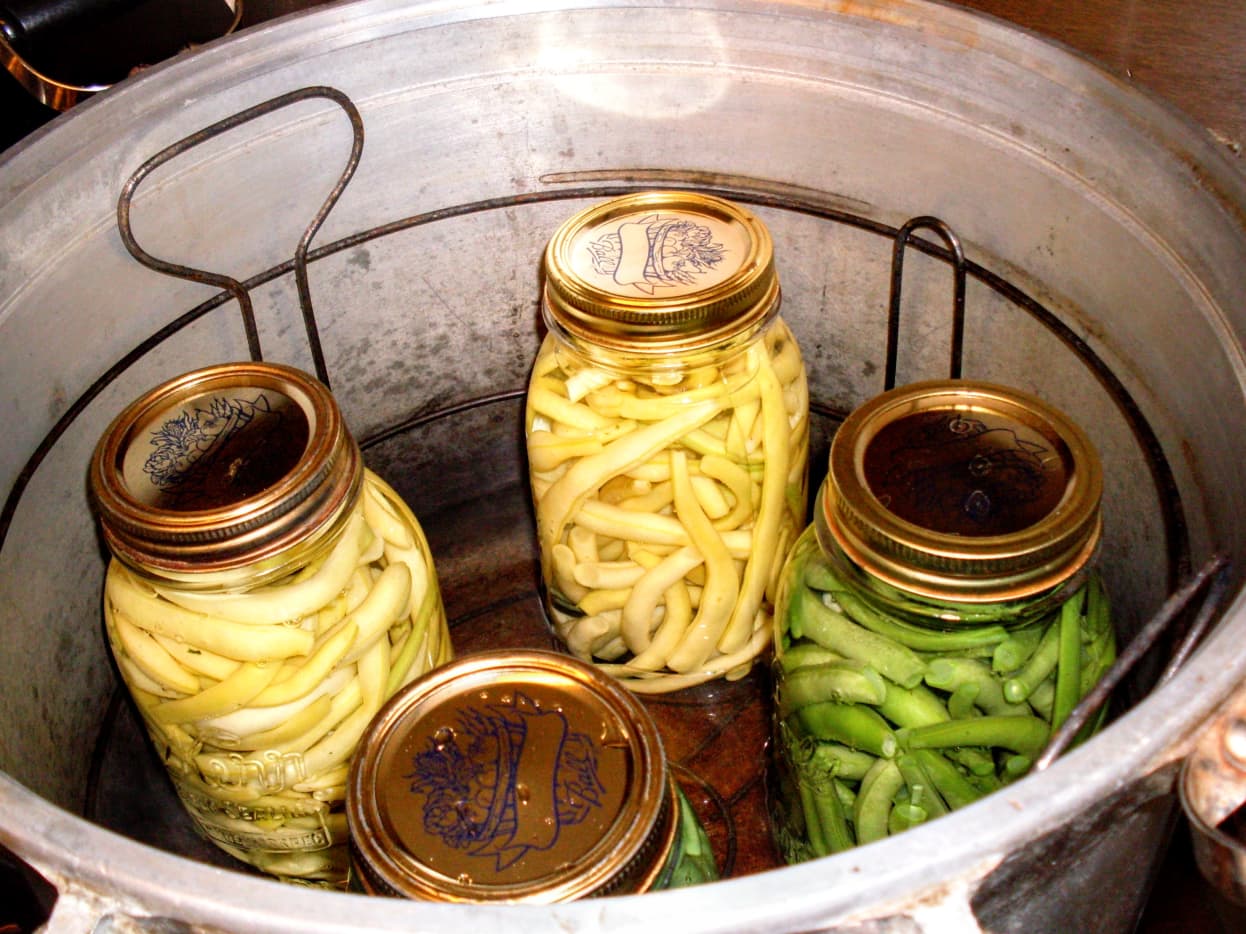 How to Can Green Beans Using a Pressure Canner An Illustrated Guide