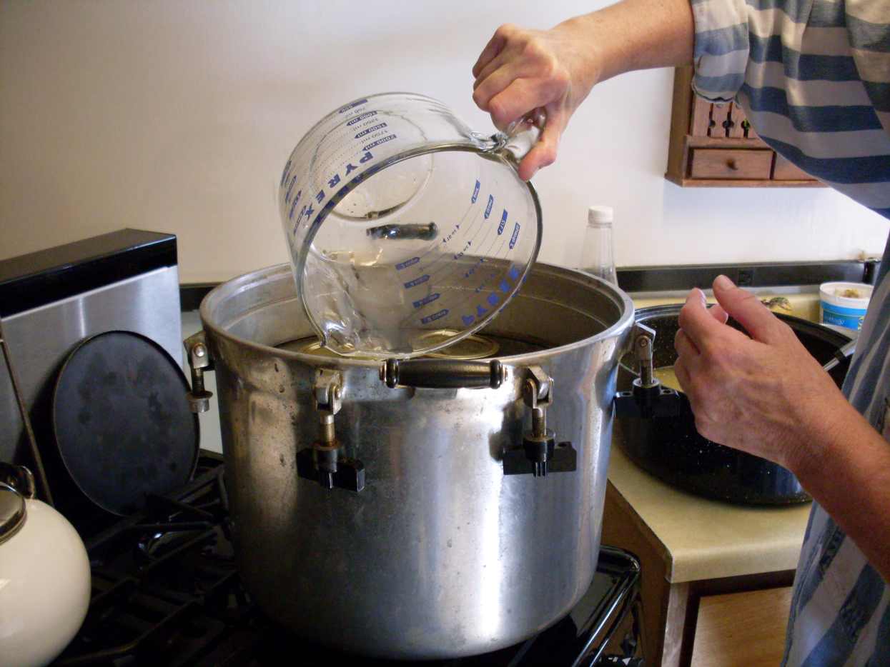 How to Can Green Beans Using a Pressure Canner An Illustrated Guide