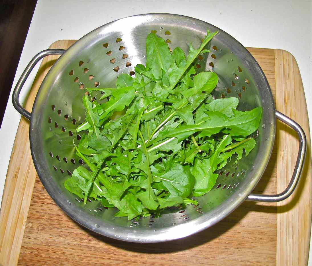 Recipe for Dandelion Salad Delishably