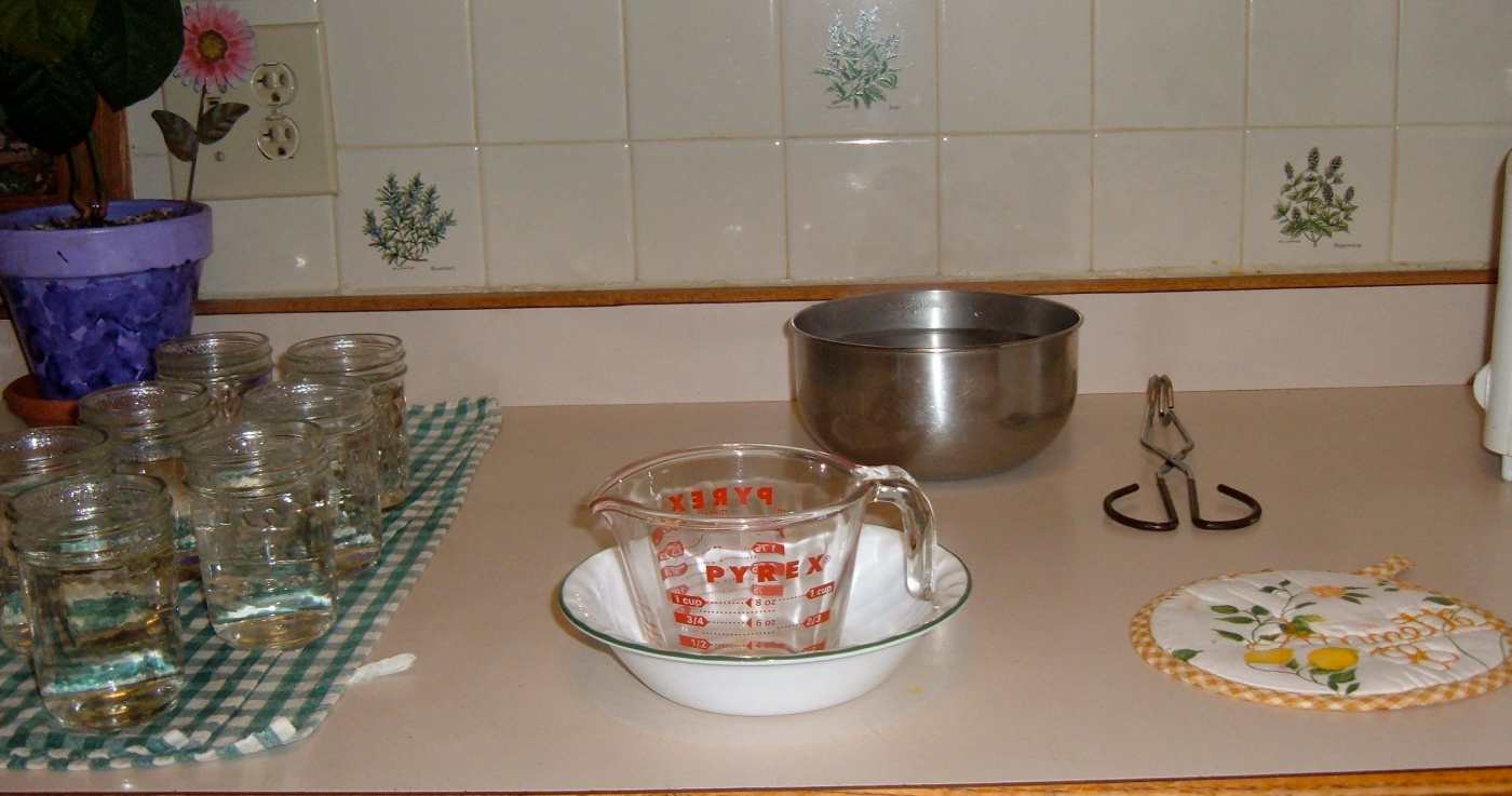 How to Make Nasturtium Jelly From Scratch Delishably