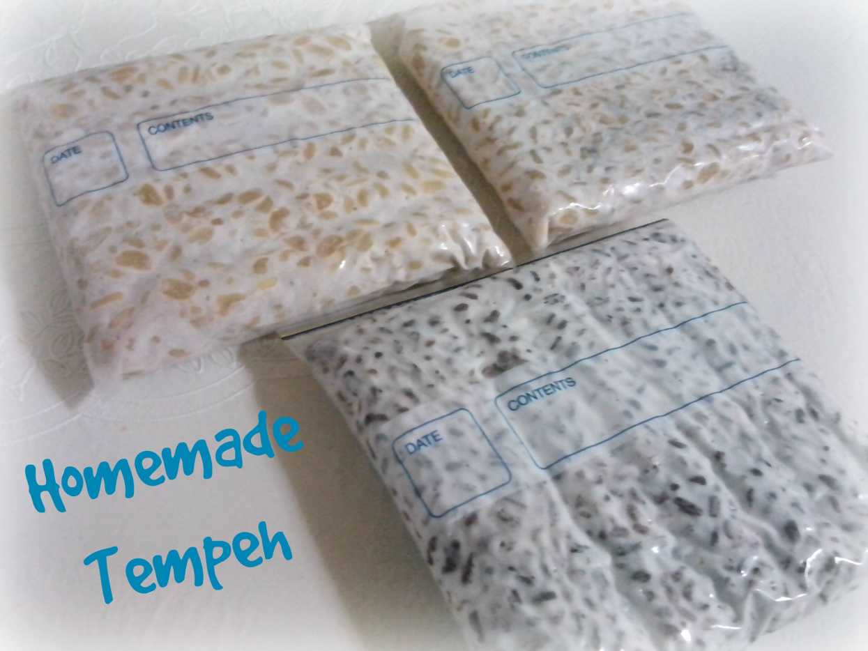 How to Make Your Own Tempeh Starter Delishably