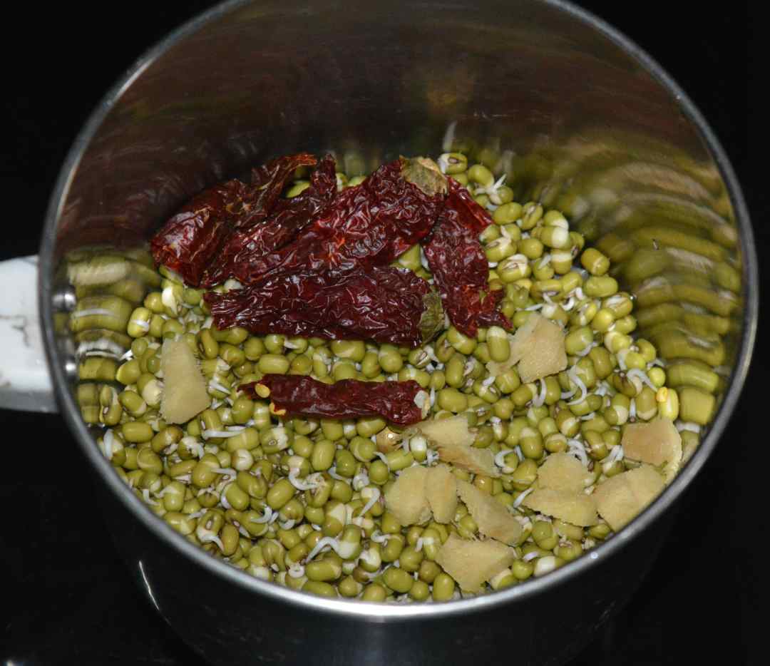 Spicy Moong Sprouts Vada (Spicy Mung Bean Sprout Fritters) Delishably