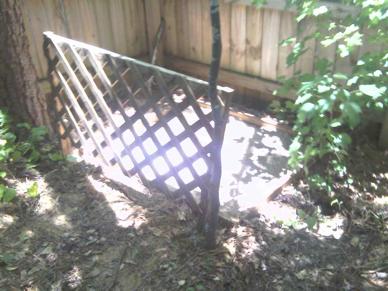 How to Build an Outdoor Cat Litter Box PetHelpful