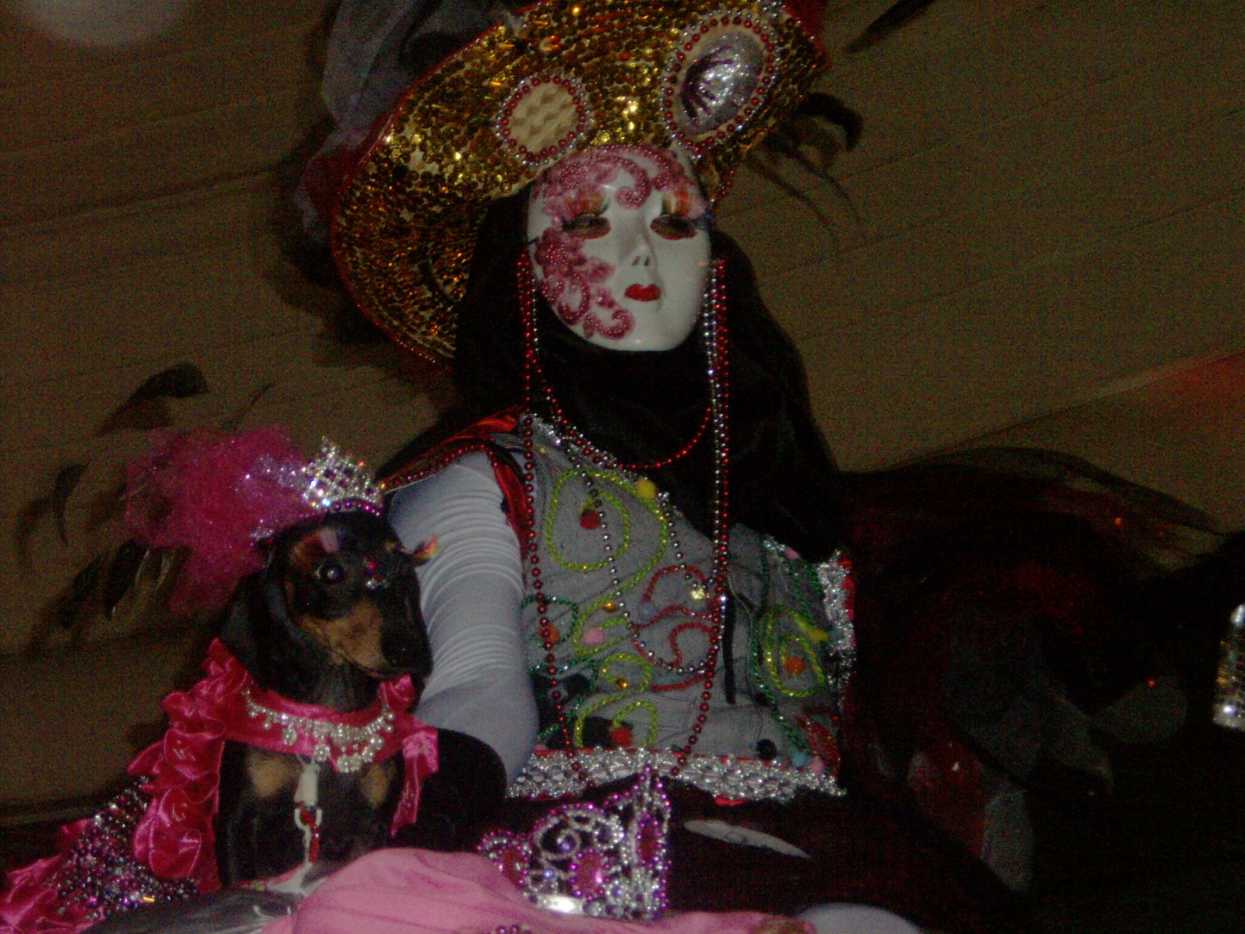 All About Dog Fashion Shows PetHelpful