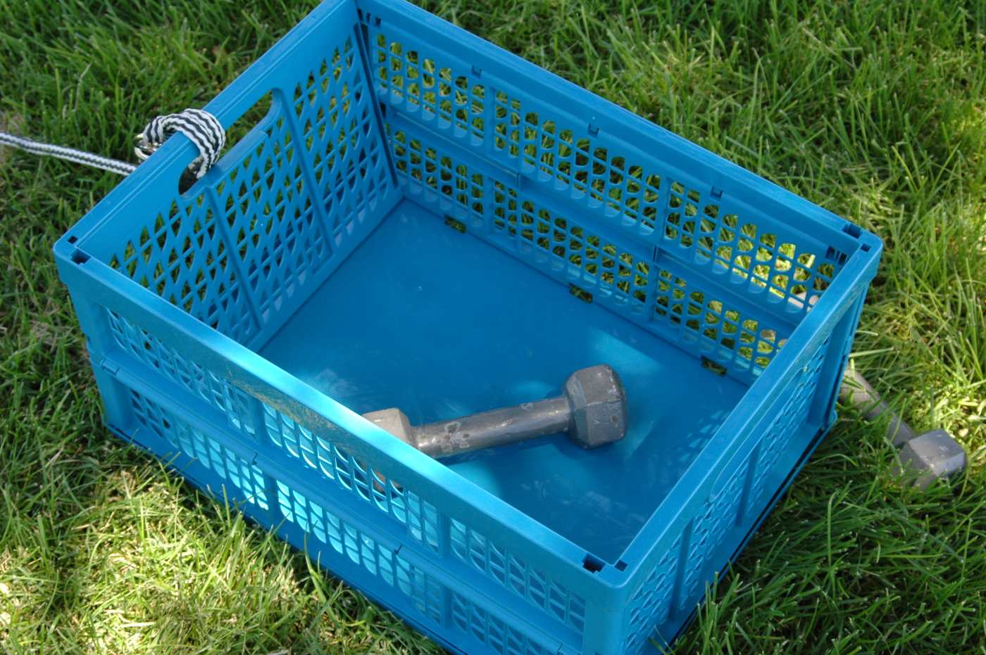 How to Train Alaskan Malamute Puppies to Pull a Sled HubPages