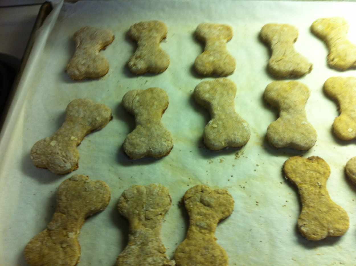 Homemade Dog Treats (Peanut Butter, Banana, and Oatmeal) PetHelpful