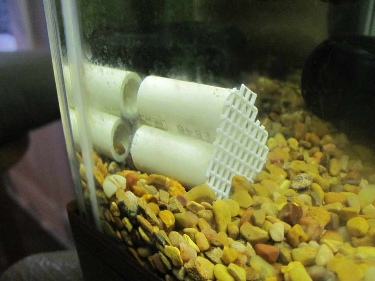 Aquarium Uses for Plastic Canvas (Mesh) Dividers and More PetHelpful