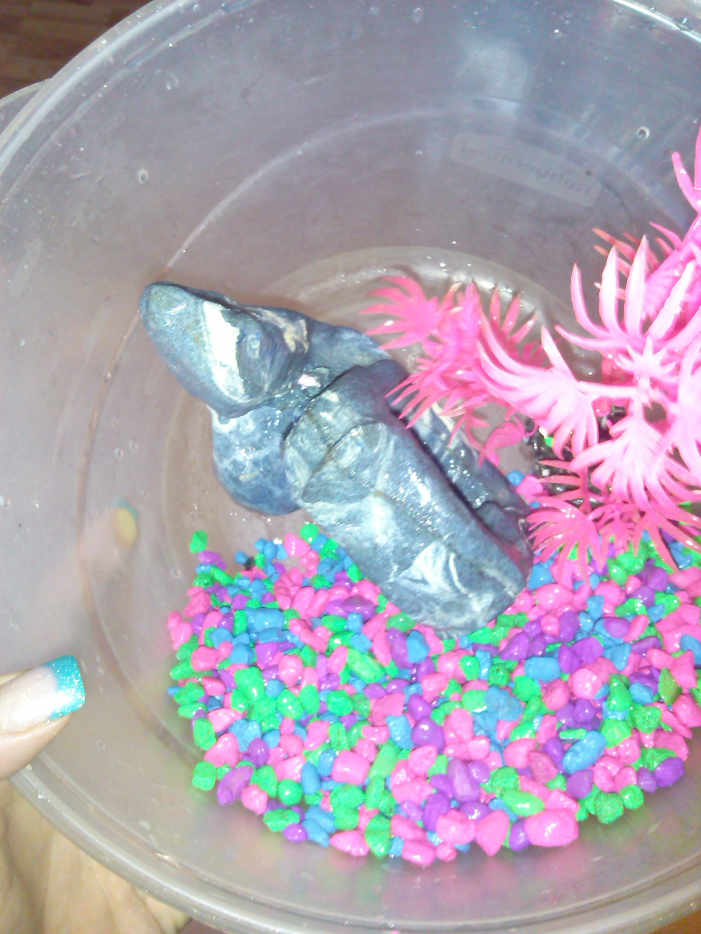 How to Easily Clean Betta Fish Tanks An Illustrated Guide PetHelpful