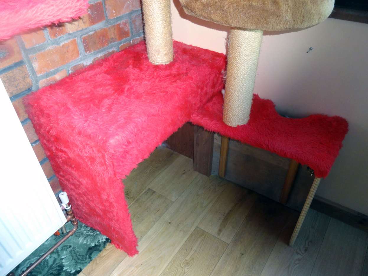 DIY Insulating Your Cat Flap PetHelpful