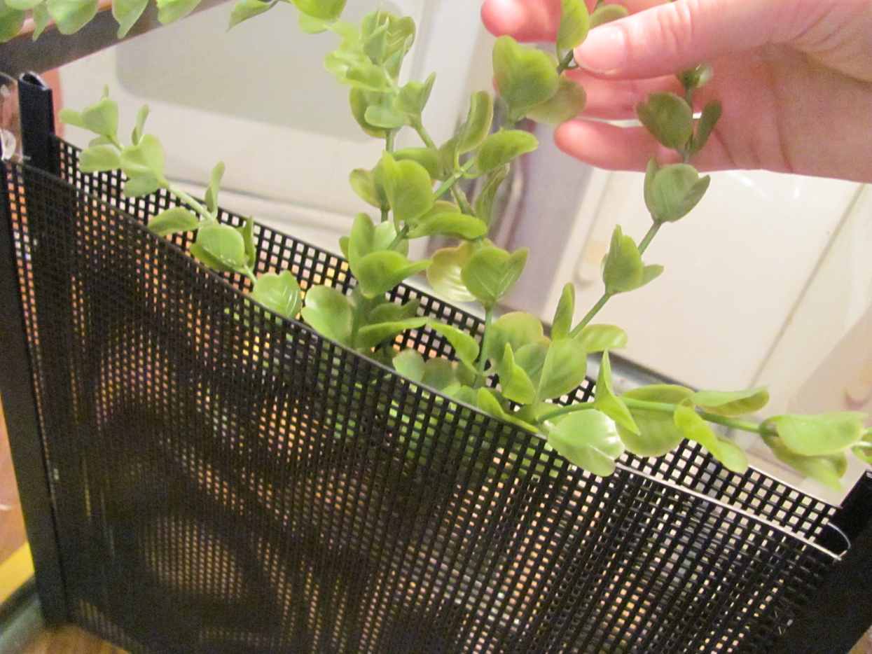 How to Make a Cheap Homemade Betta Tank Divider PetHelpful