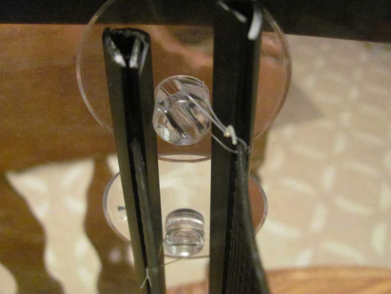 How to Make a Cheap Homemade Betta Tank Divider PetHelpful