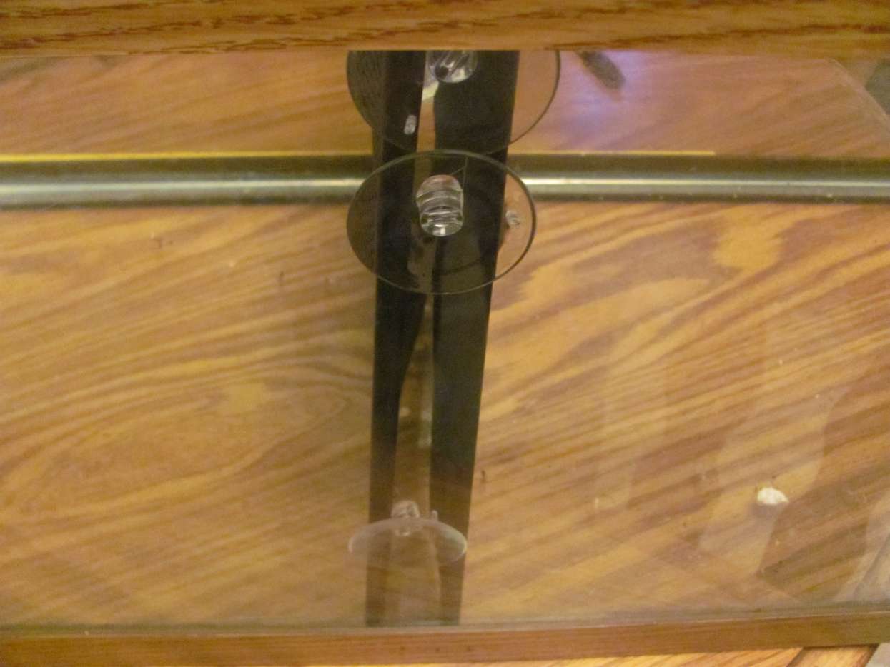 How to Make a Cheap Homemade Betta Tank Divider PetHelpful