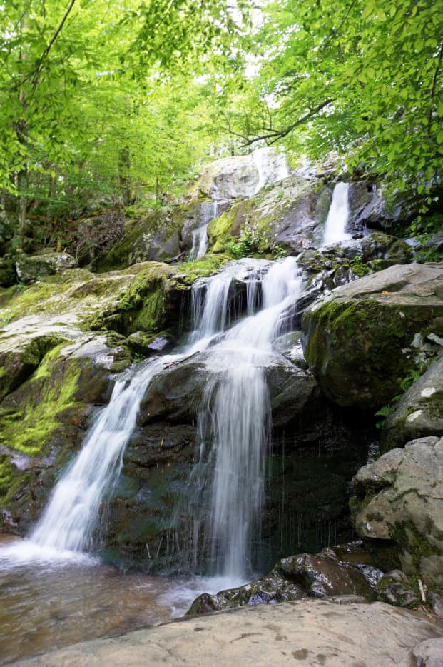 Top 10 Things to Do in Shenandoah National Park - WanderWisdom