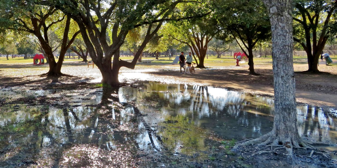 Congressman Bill Archer Park: Houston Dog Park Heaven! - WanderWisdom