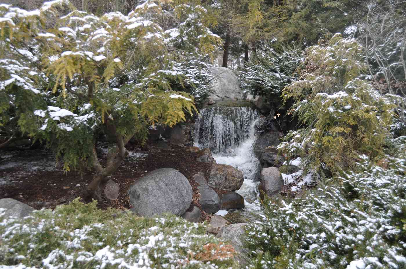 Butterfly Exhibit Dow Gardens in Midland Michigan HubPages
