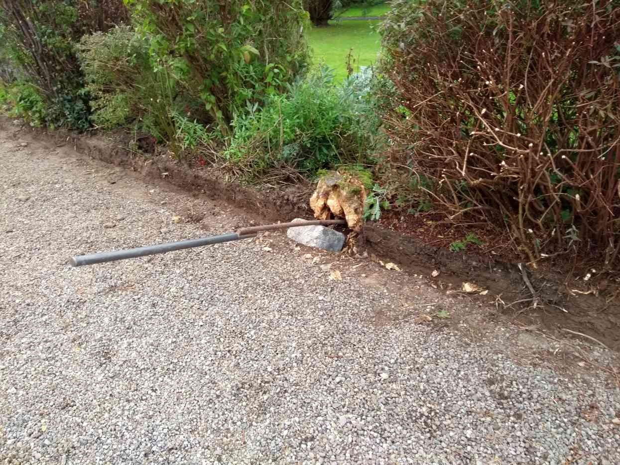 How to Remove a Tree Stump Easily (Without Chemicals) Dengarden