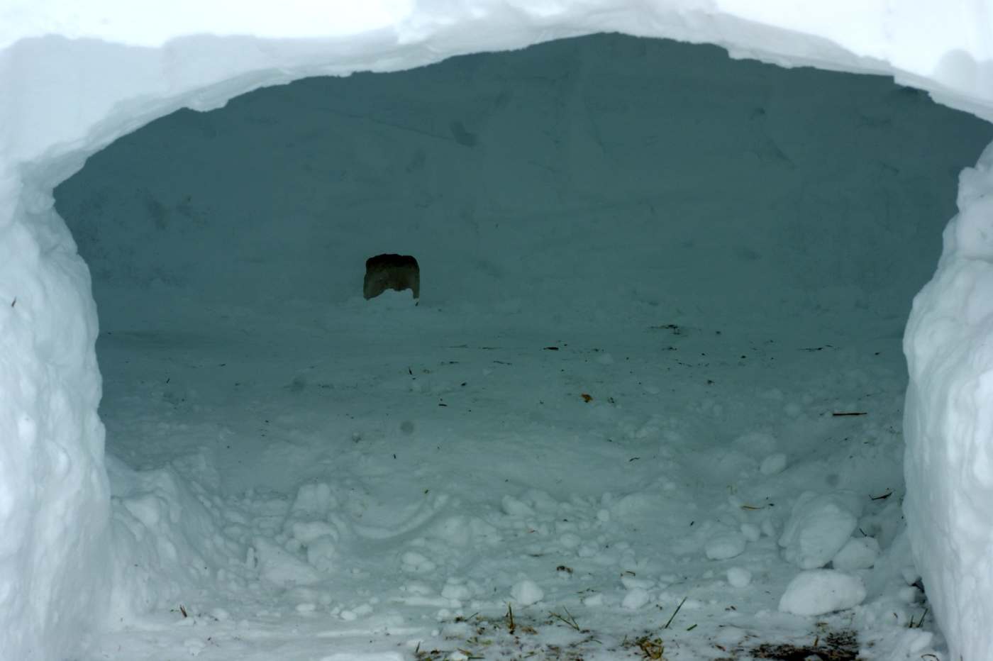 How to Build an Emergency Quinzee Snow Shelter HubPages