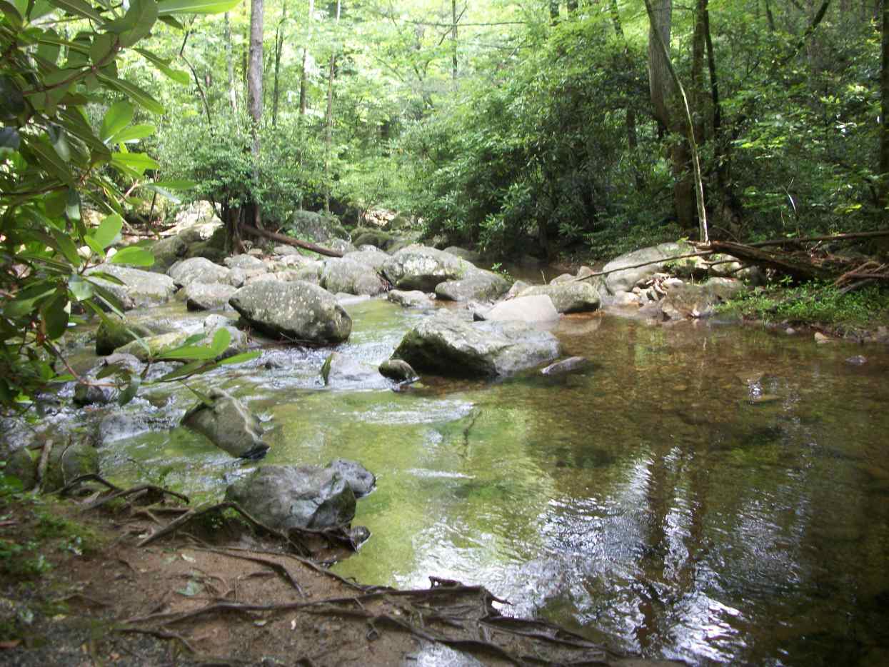 South Mountains State Park Connelly Springs, NC HubPages