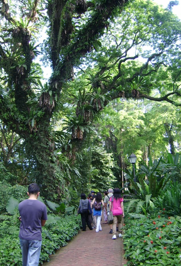 Spice Garden at Fort Canning Park, Singapore -- Showcase of Southeast ...