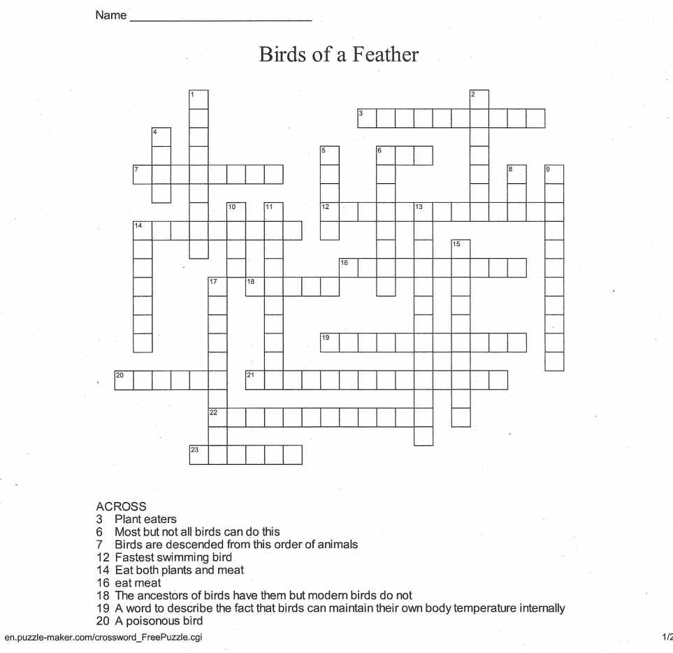 Bird Behaviour at Bird Feeders Lesson Plan for Elementary Students
