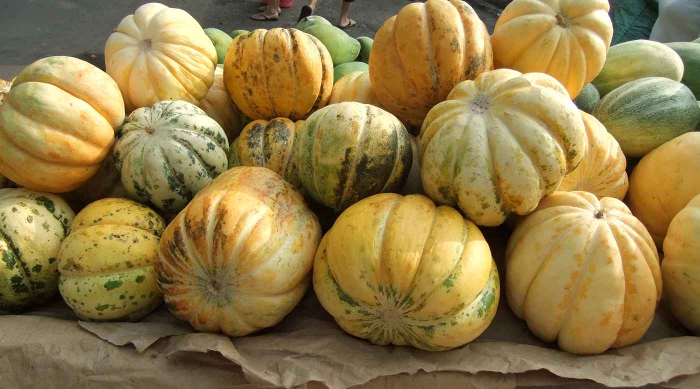 Cantaloupe Fruit Nutrition, Health Benefits And More HubPages