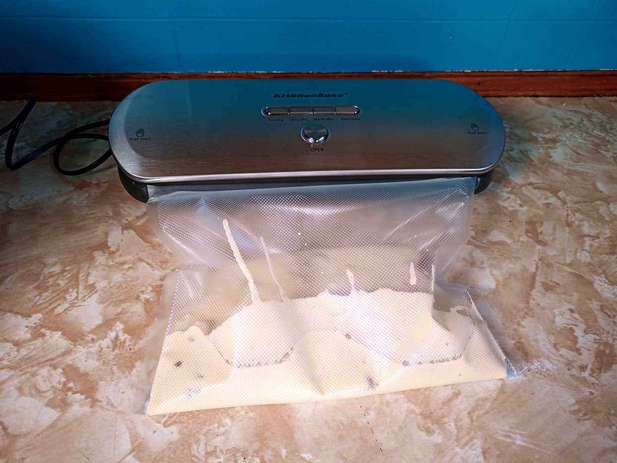 Review of the KitchenBoss G210 Vacuum Sealer Delishably