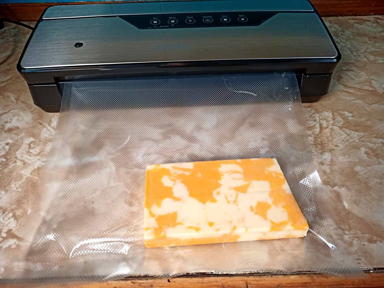 Review of the Omote OM1205 Vacuum Sealer Delishably