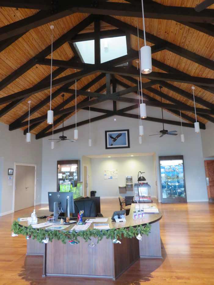 John Paul Landing Park in Cypress, TX What to See and Enjoy WanderWisdom