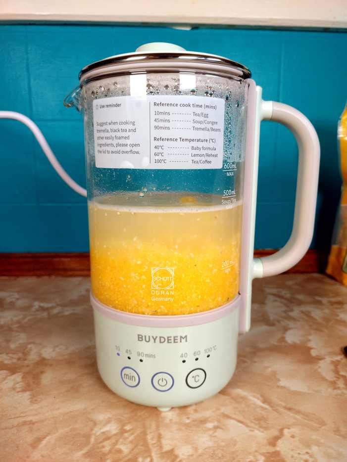 Review of the Buydeem Mini Kettle Cooker Dengarden