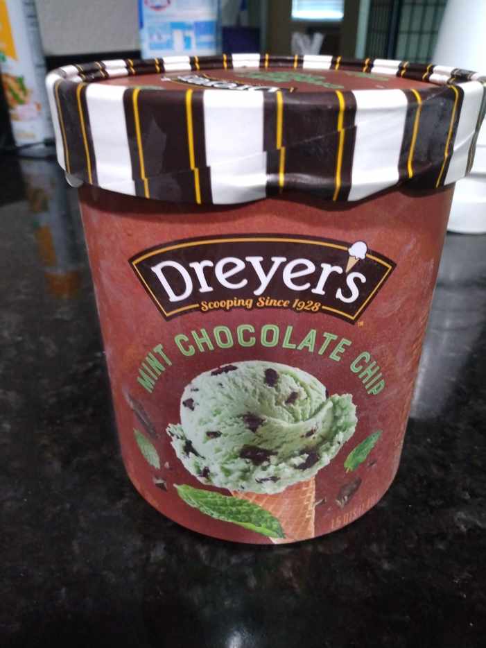 Mint Chocolate Chip Ice Cream RoundUp Which Is the Best? Delishably
