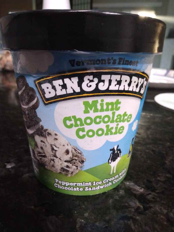 Mint Chocolate Chip Ice Cream RoundUp Which Is the Best? Delishably