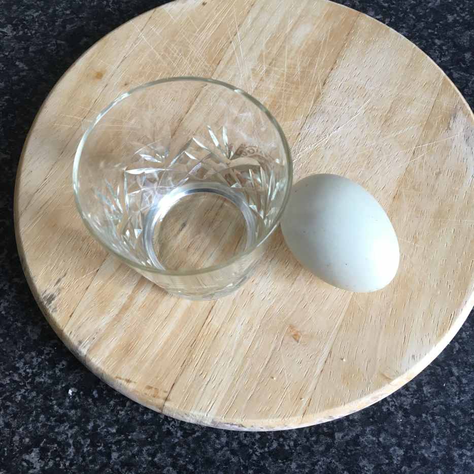 10 Different Duck Egg Sandwich Recipes Delishably