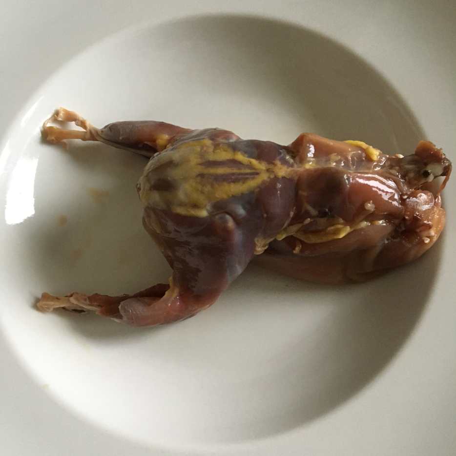 How to Poach a Whole Partridge (With Serving Suggestions) HubPages