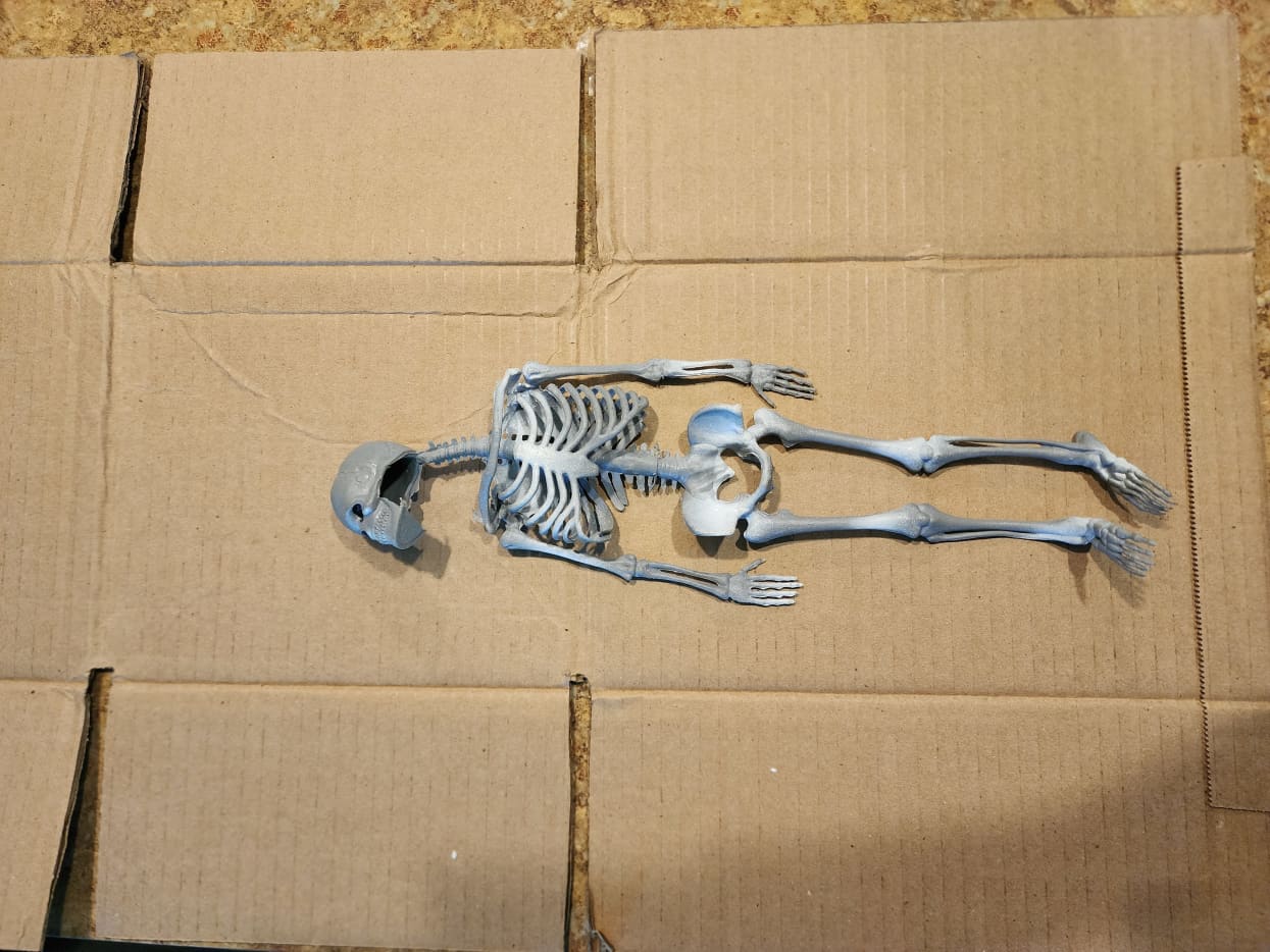 DIY Cardboard Coffin and Skeleton Scene - HubPages