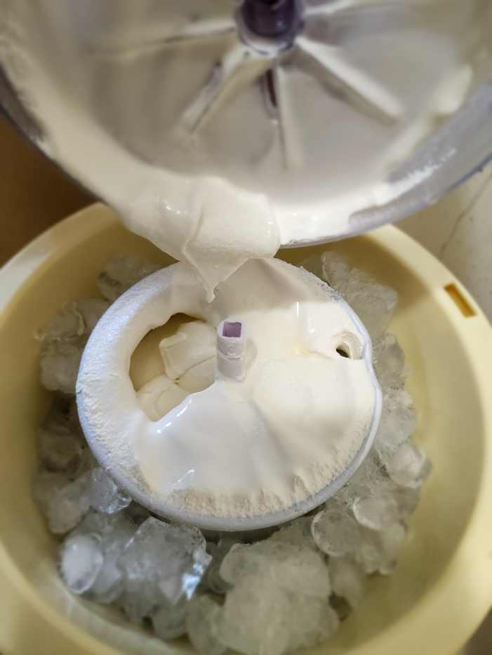 An Honest Review of the Elite Gourmet Electric Ice Cream Maker Delishably