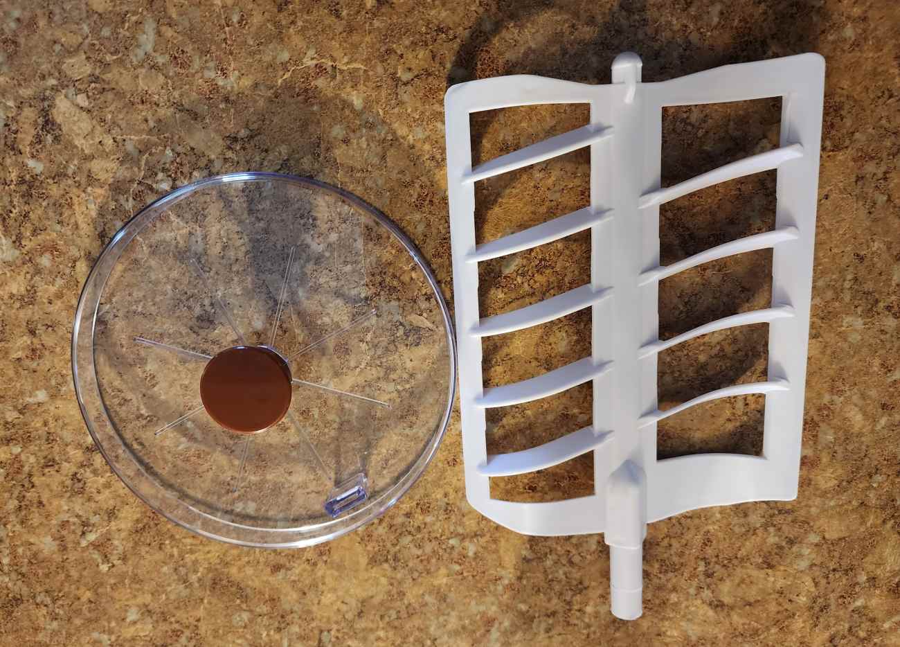 An Honest Review of the Elite Gourmet Electric Ice Cream Maker Delishably