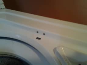 Washer Not Spinning? Try This First! - Dengarden