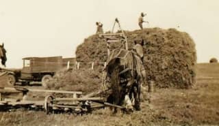 Old Pictures of Farming in North Dakota in the early 1900s - LetterPile