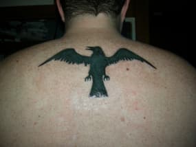 Raven tattoo op bovenrug.