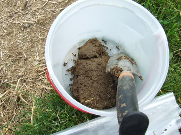 How To Take A Soil Sample - Dengarden