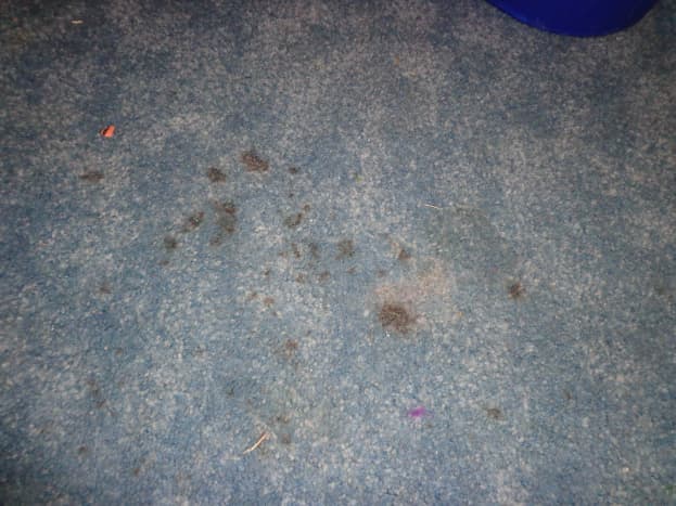 old stains on my daughter's bedroom carpet