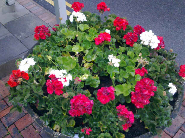 Nothing is easier than a barrel full of your favorite flowers&mdash;plus they're inexpensive and last for a long time.