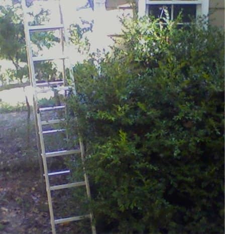 Ladder&mdash;WRONG!