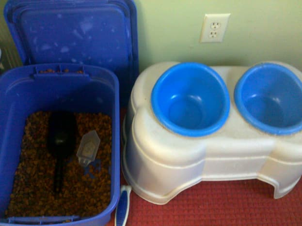 DO keep dog food in a sealed container.