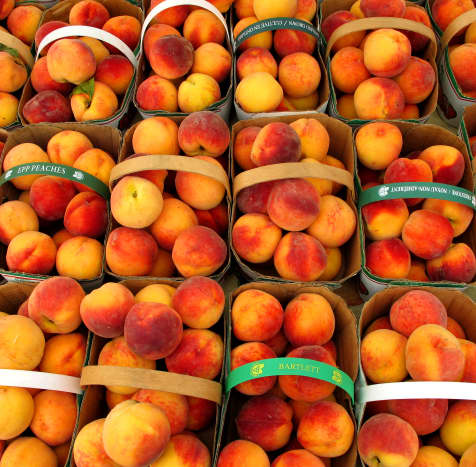 If you find yourself overrun with peaches from your tree, you can always set up a roadside stand or sell them at a local farmers' market.