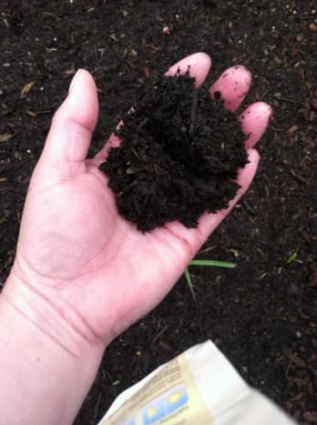 Start with good, amended garden soil. If you don't make your own compost, buy a bag or two of organic compost.