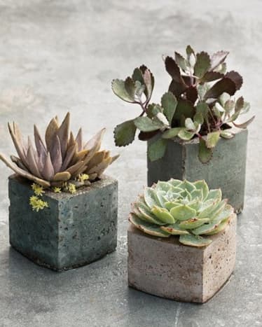 Concrete bricks and tubes make great succulent planters.